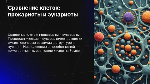 Сравнение прокариотической и эукариотической клеток