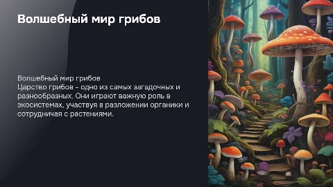 царство грибов