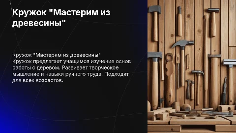 Кружок внеурочной деятельности "Мастерим из древесины"