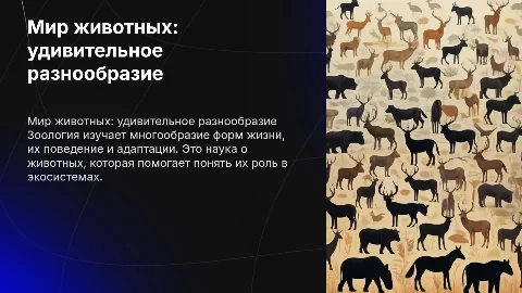 зоология