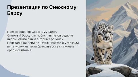 Презентация по Снежному Барсу: ареал, навыки и угроза исчезновения