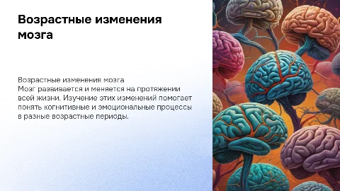 Возрастная эволюция мозга