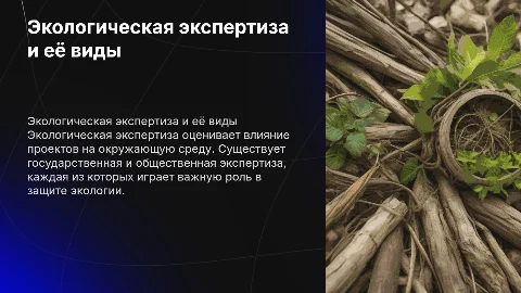 Понятие и виды экологической экспертизы