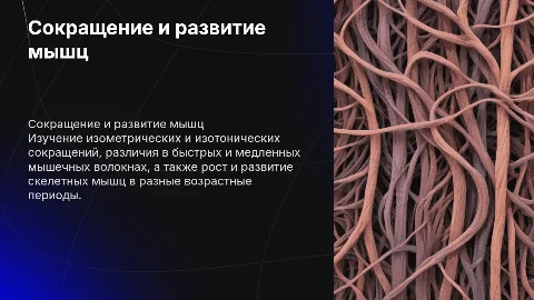 Сокращение мышц: изометрическое и изотоническое сокращение