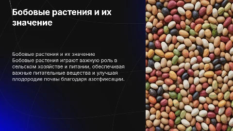 Бобовые растения