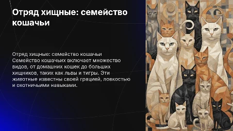 Отряд хищные, семейство кошачьи