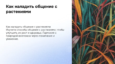 Как говорить с растениями, чтобы они вас уважали