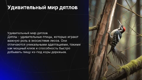Мир дятла