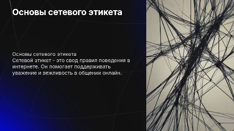 сетевой этикет