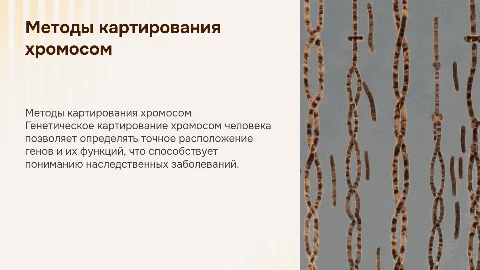 Методы генетического картирования хромосом человека