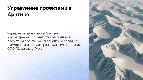 Управление проектами в Арктических районах Карелии