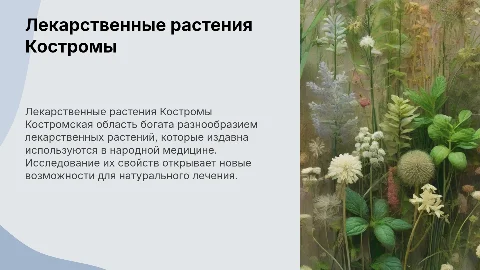 лекарственные растения костромской области