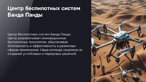 центр беспилотных систем банда панды