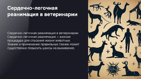 Сердечно-легочная реанимация ветеринарии