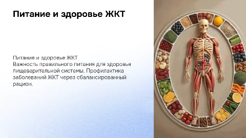 питание и пищеварение профилактика жтк