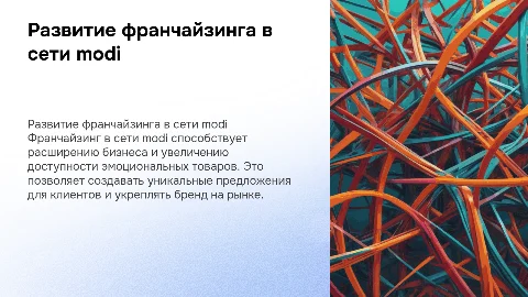 Развитие франчайзинга в торговой сети эмоциональных товаров modi