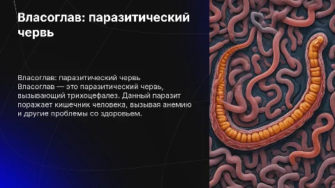 ВЛАСОГЛАВ ЧЕРВЬ