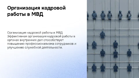 ОРГАНИЗАЦИЯ КАДРОВОЙ РАБОТЫ В ОРГАНАХ ВНУТРЕННИХ ДЕЛ