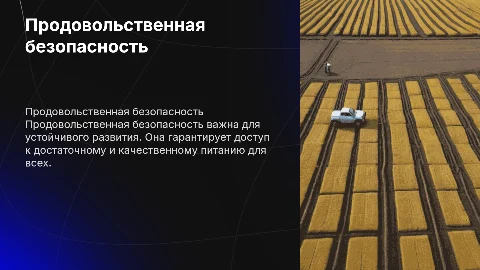 продовольственная безопасность