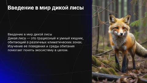 дикая лиса
