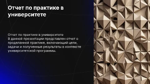 Отчет по практике для университета