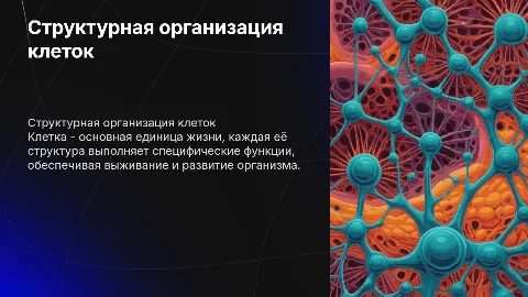 Структурно функциональная организация клеток