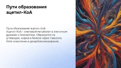 Пути образования ацетил-КоА