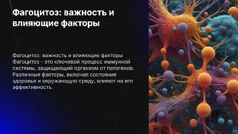 Фагоцитоз и его значение для организма: факторы влияния