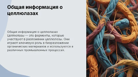 Общая сведения. Классификация Целлюлаз