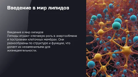 Липиды