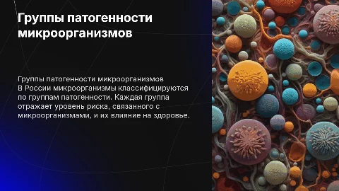 Группы патогенности микроорганизмов в России. И их примеры