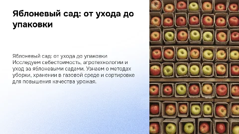 Яблоневый сад: агротехнология и уход за урожаем