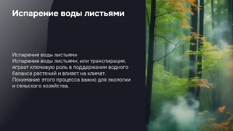 Испарение воды листьями