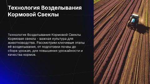 Технология Возделывания кормовой свеклы