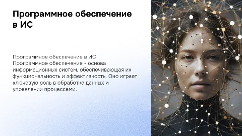 Программное обеспечение как ключевой элемент информационных систем
