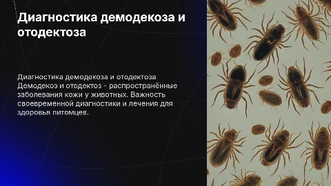 Диагностика демодекоза и отодектоза у животных