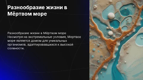 презентация на тему разнообразие живности в мертвом море