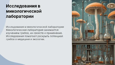 микологическая лаборатория