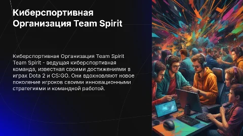 Киберспортивная Организация Team Spirit