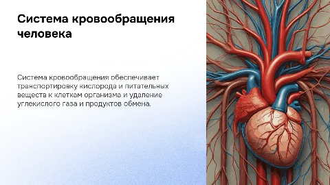 Система кровообращения