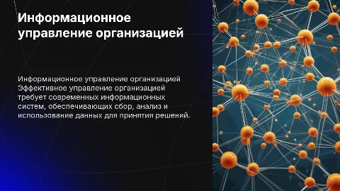 информационное обеспечение управления организацией