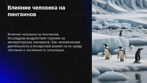 Воздействие человека на императорских пингвинов: Презентация