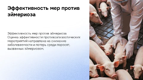 Оценка эффективности противоэпизоотических мероприятий у поросят
