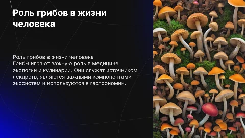 Роль Грибов в жизни человека