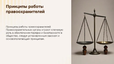 Принципы организации и деятельности правоохранительных органов