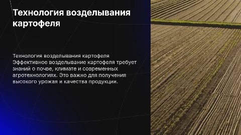 технология возделывания картофеля