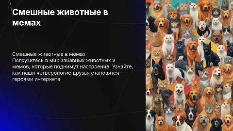 Смешная презентация с мемами про животных