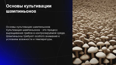 культивация шампиньонов