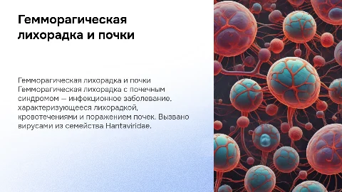 Гемморагическая лихорадка с почечным синдромом