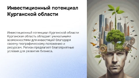Инвестиционный потенциал курганской области